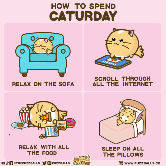 How to spend caturday
