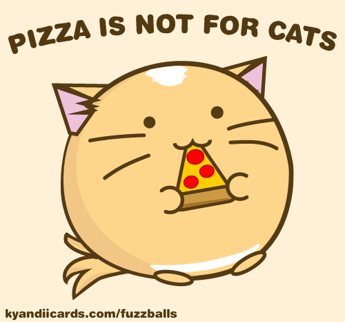 Pizza is not for cats