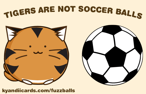 Tigers are not soccer balls