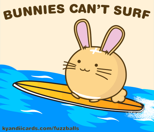 Bunnies Can't Surf