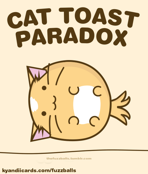 Cat Toast Paradox