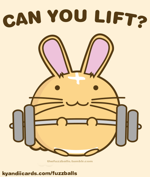 Can you lift?