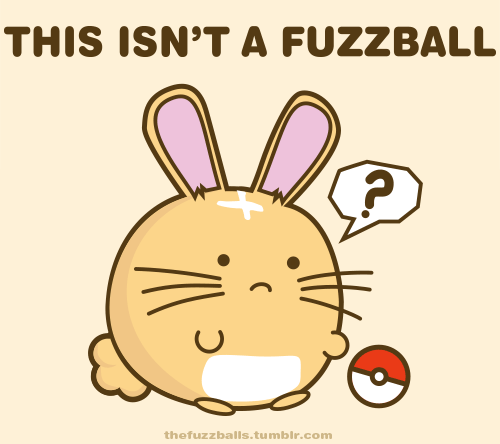 This isn't a Fuzzball
