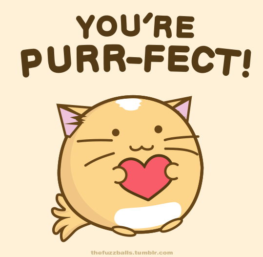 You're Purr-fect