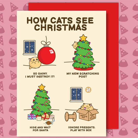 How cats see christmas Card