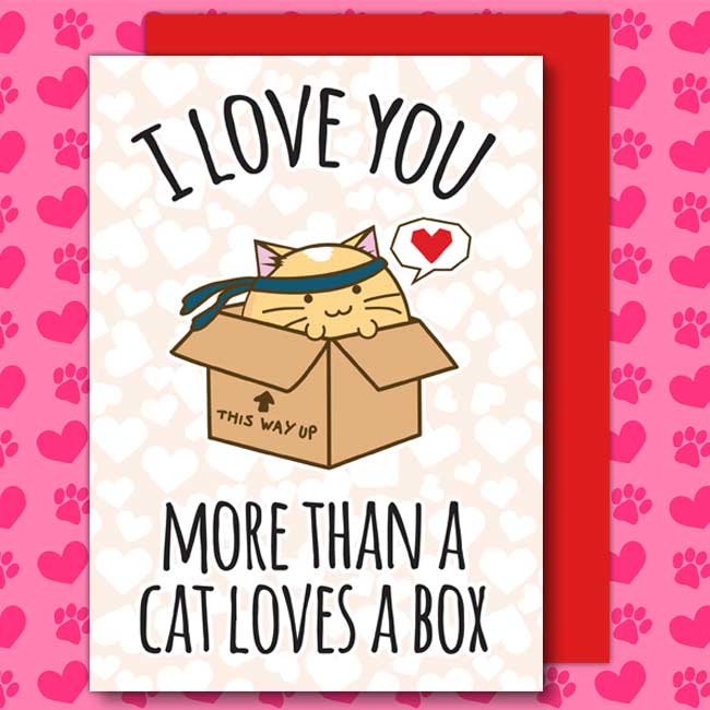 I love you more than a cat loves a box Card